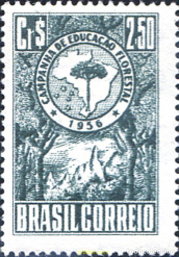 Sellos: 698905 HINGED BRASIL 1956 CAMPA&Ntilde;A DE EDUCACION FORESTAL