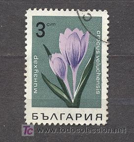 Sellos: BULGARIA, USADO - Foto 1