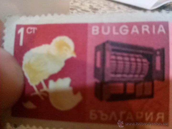 Sellos: Sello 1 ct, de bulgaria - Foto 1