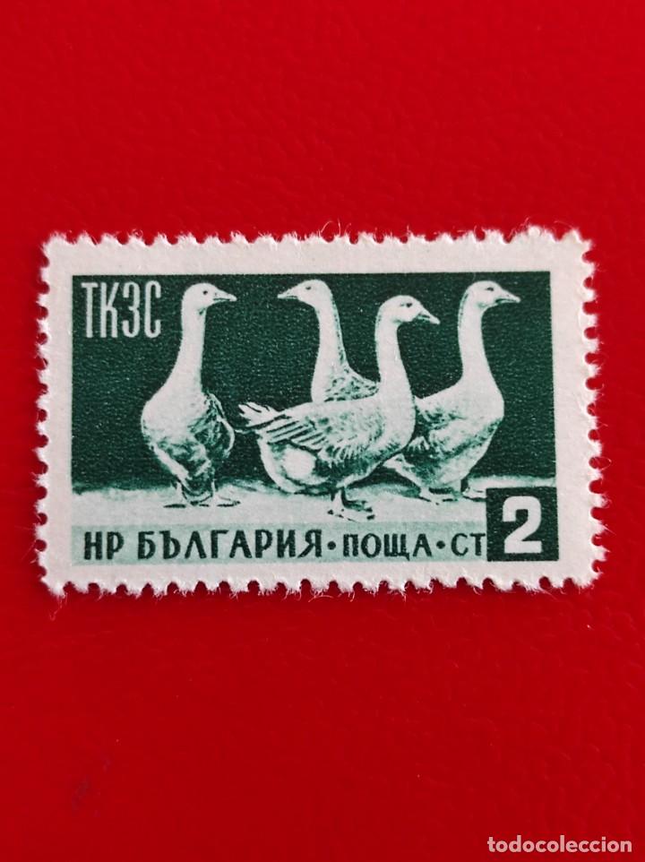 Sellos: 1955 Bulgaria* - Foto 1