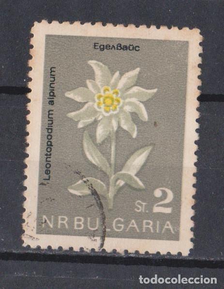 Sellos: BULGARIA - EDELWEISS - Foto 1