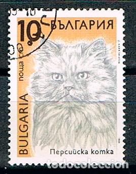 Sellos: BULGARIA 3825. GATO, USADO - Foto 1