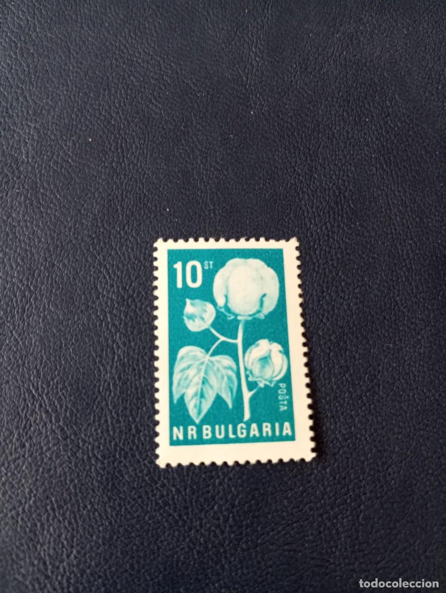 Sellos: BULGARIA, 1965, ALGODON, YT 1339 - Foto 1