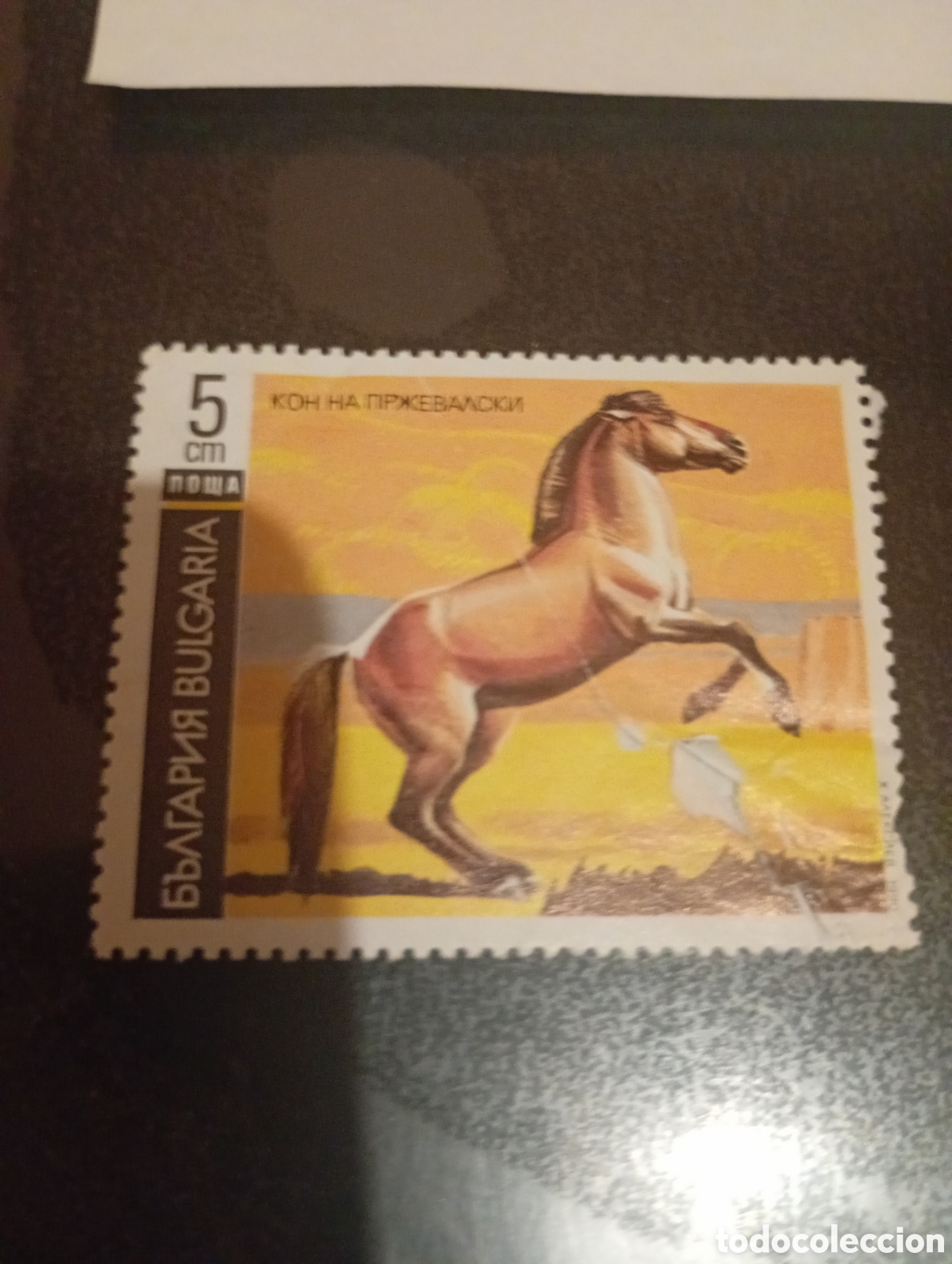 Sellos: Bulgaria caballos. ....... - Foto 1