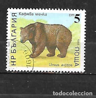 Sellos: 1988: Osos - Pardo (CTO) - Foto 1