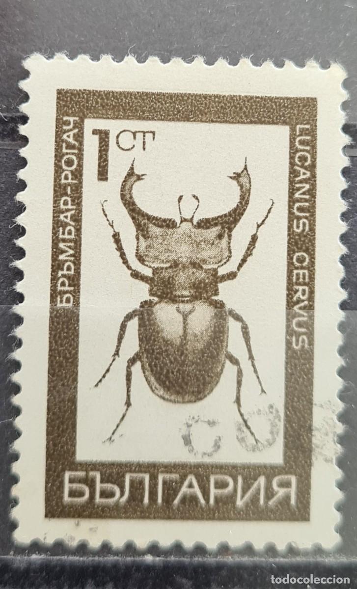 Sellos: Sello usado de Bulgaria 1968. Insectos: Lucanus cervus