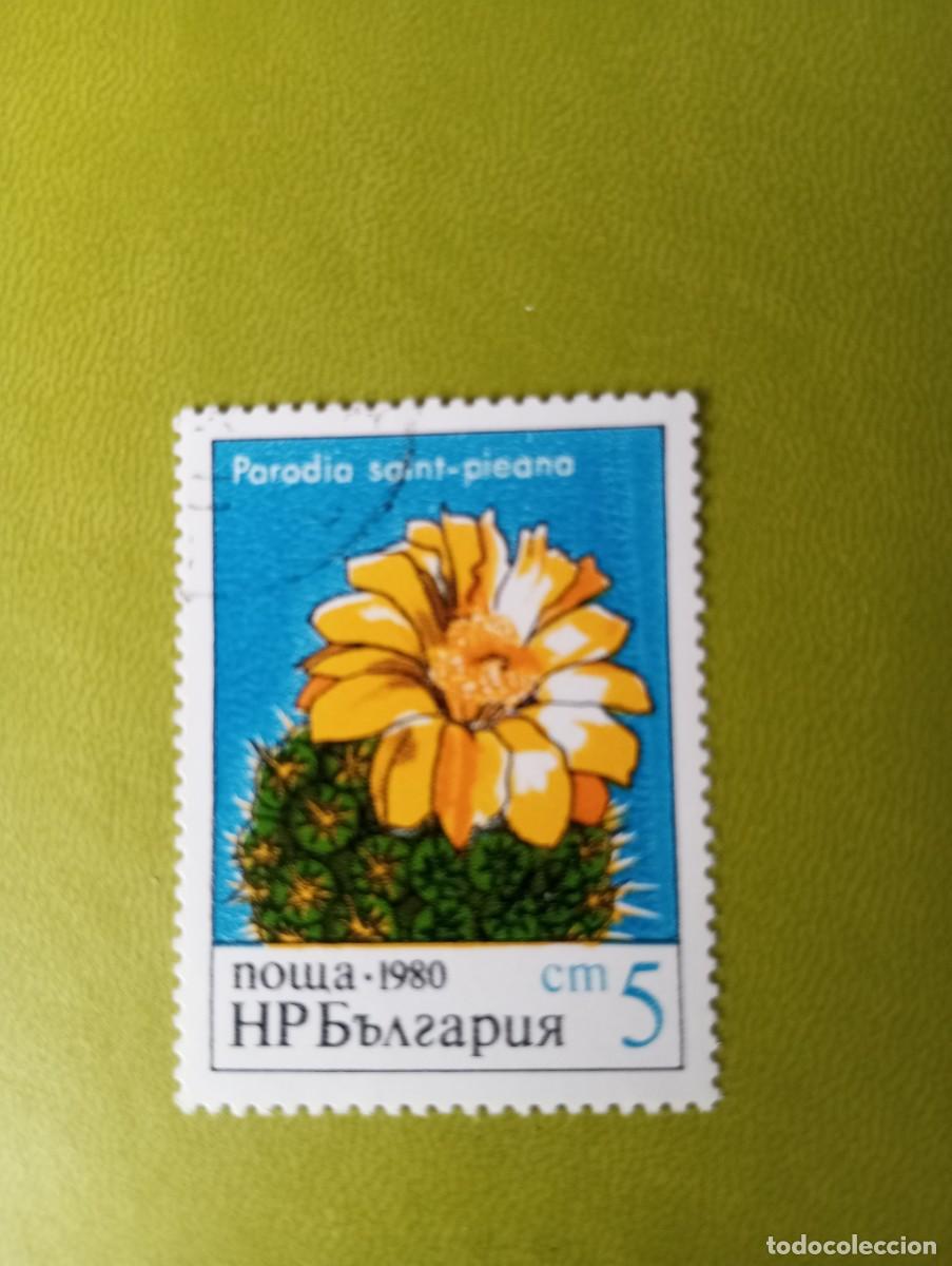 Sellos: BULGARIA, 1980, CACTUS EN FLOR, YT 2586