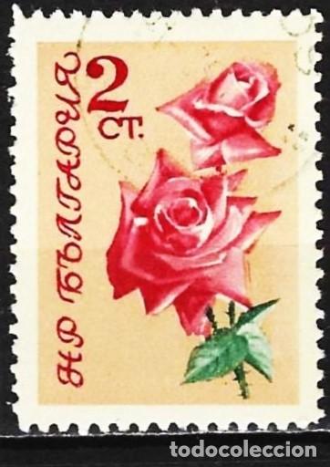 Sellos: Bulgaria 1962 - Mi 1301 - YT 1127 - Flores : Rosas