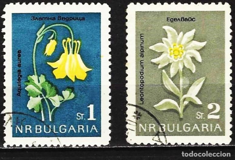 Sellos: Bulgaria 1963 - Mi 1407 y 1408 - YT 1208 y 1209 - Flores