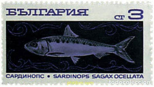 Sellos: 788732 MNH BULGARIA 1969 PESCA DE ALTURA