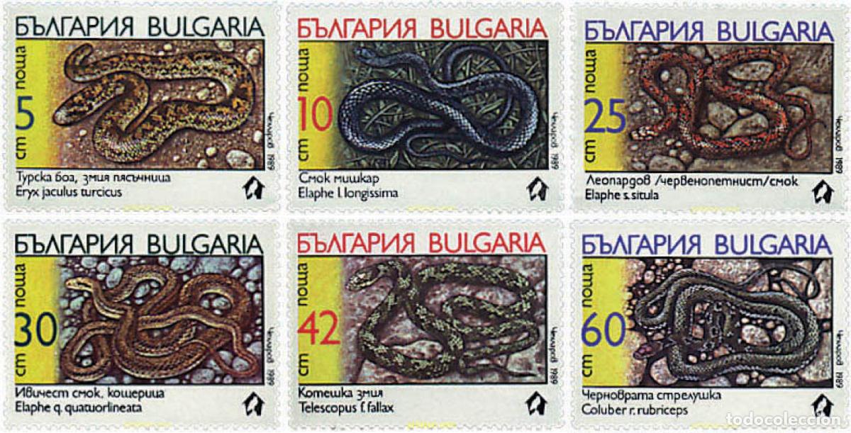 Sellos: 82509 MNH BULGARIA 1989 SERPIENTES