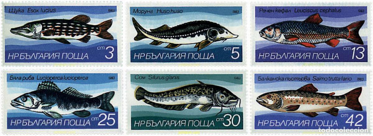 Sellos: 82170 MNH BULGARIA 1983 PECES DE AGUA DULCE