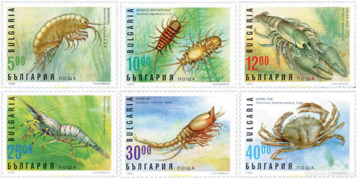 Sellos: 82703 MNH BULGARIA 1996 CRUSTACEOS