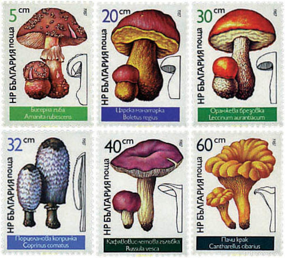 Sellos: 82361 MNH BULGARIA 1987 SETAS