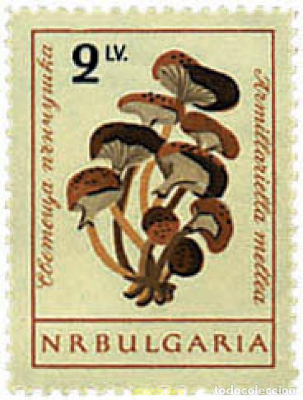 Sellos: 572932 MNH BULGARIA 1961 SETAS