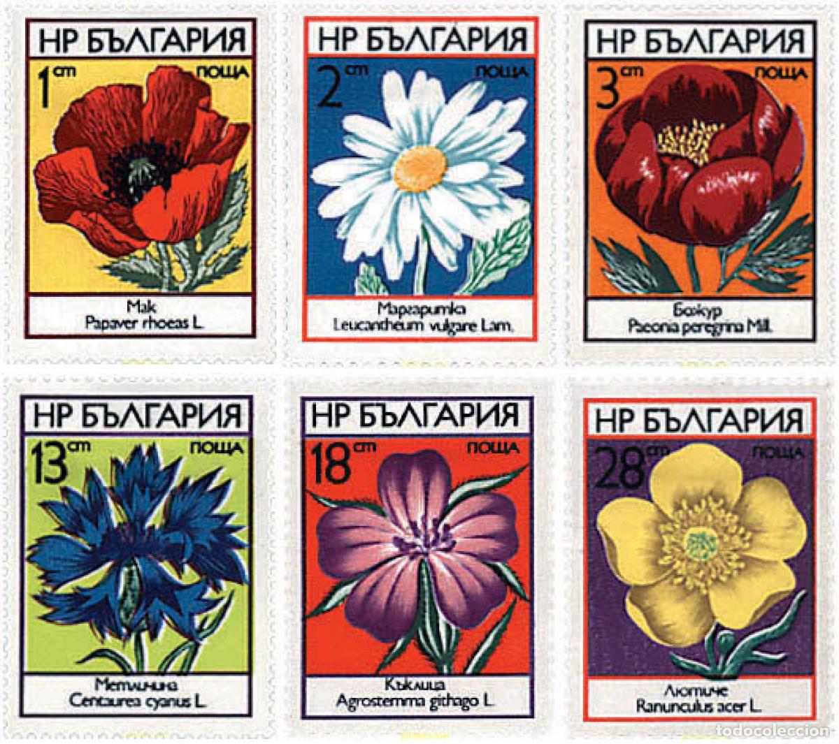 Sellos: 83671 MNH BULGARIA 1973 FLORES SILVESTRES