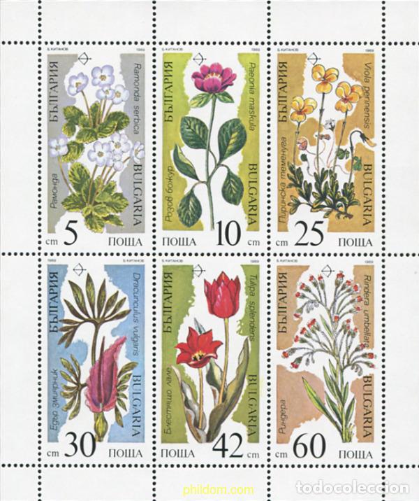 Sellos: 8123 MNH BULGARIA 1989 FLORA EN PELIGRO DE EXTINCION