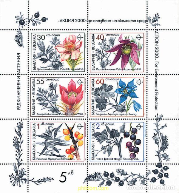 Sellos: 8124 MNH BULGARIA 1991 PLANTAS MEDICINALES