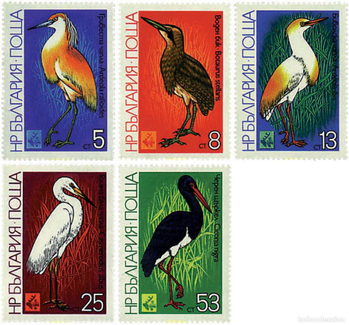 Sellos: 82069 MNH BULGARIA 1981 EXPOSICION DE CAZA EN PLOVDIV. AVES ZANCUDAS