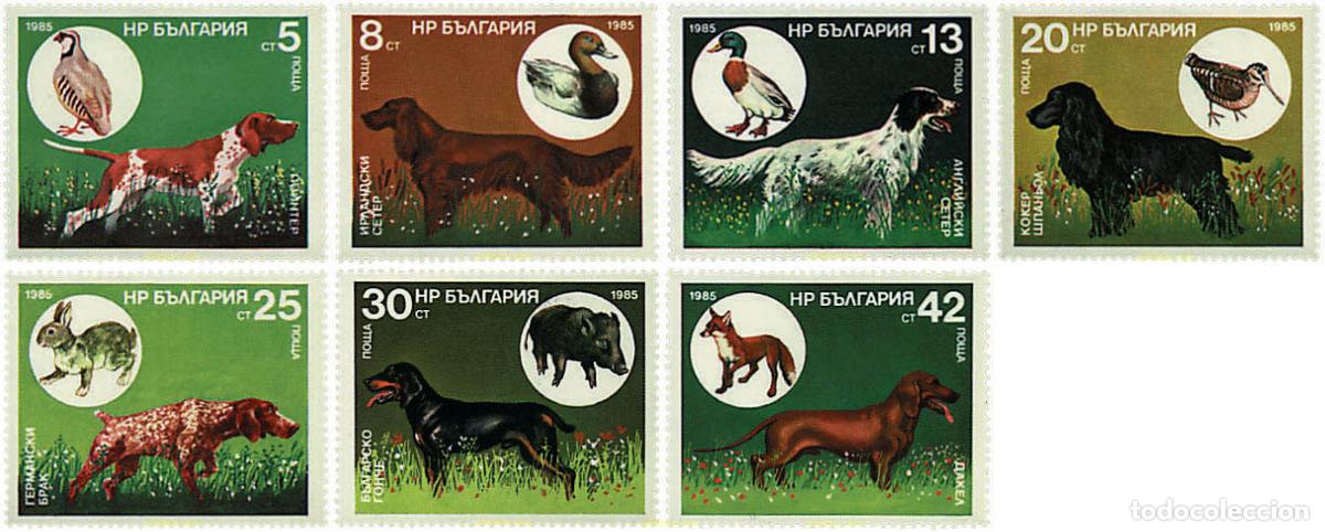 Sellos: 82306 MNH BULGARIA 1985 PERROS DE CAZA