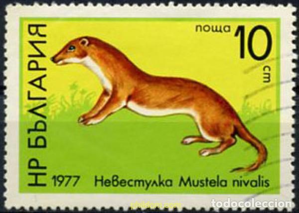 Stamps: 209923 USED BULGARIA 1977 FAUNA