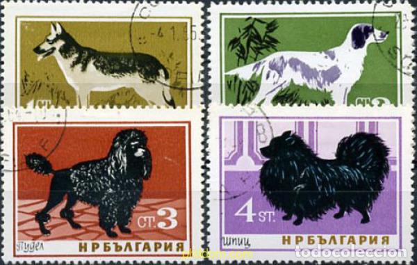 Stamps: 209912 USED BULGARIA 1964 PERROS DE RAZA