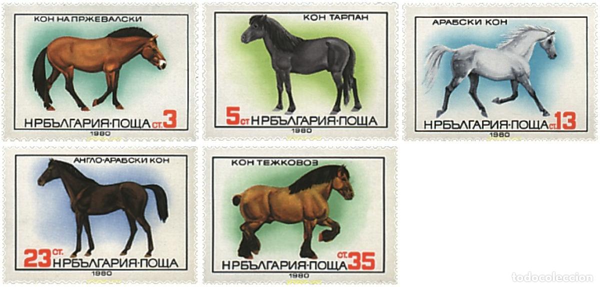 Sellos: 82038 MNH BULGARIA 1980 CABALLOS