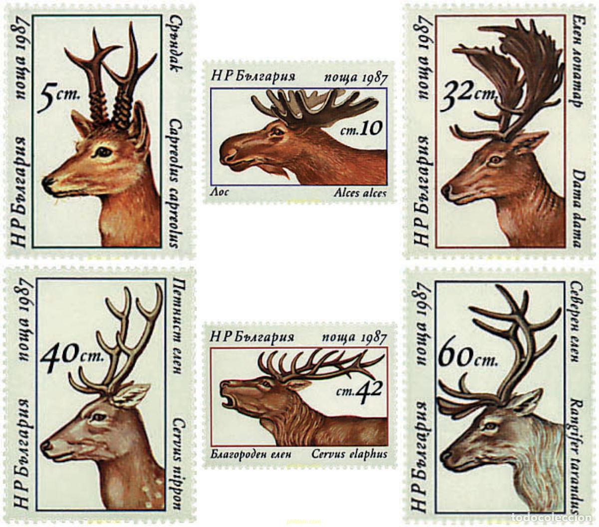 Sellos: 82367 MNH BULGARIA 1987 CERVIDOS