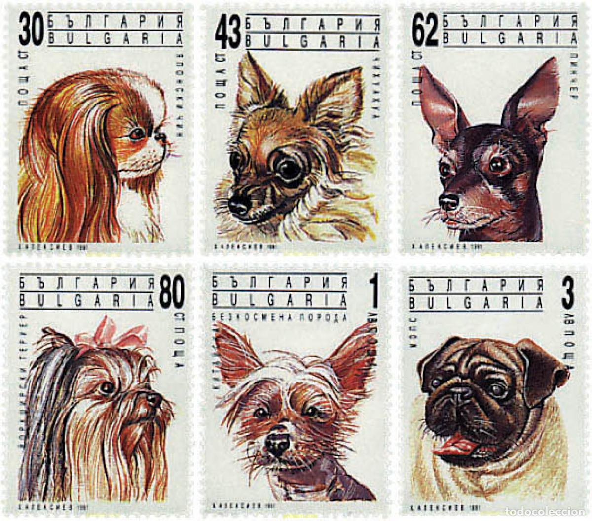 Sellos: 82626 MNH BULGARIA 1991 PERROS DE RAZA