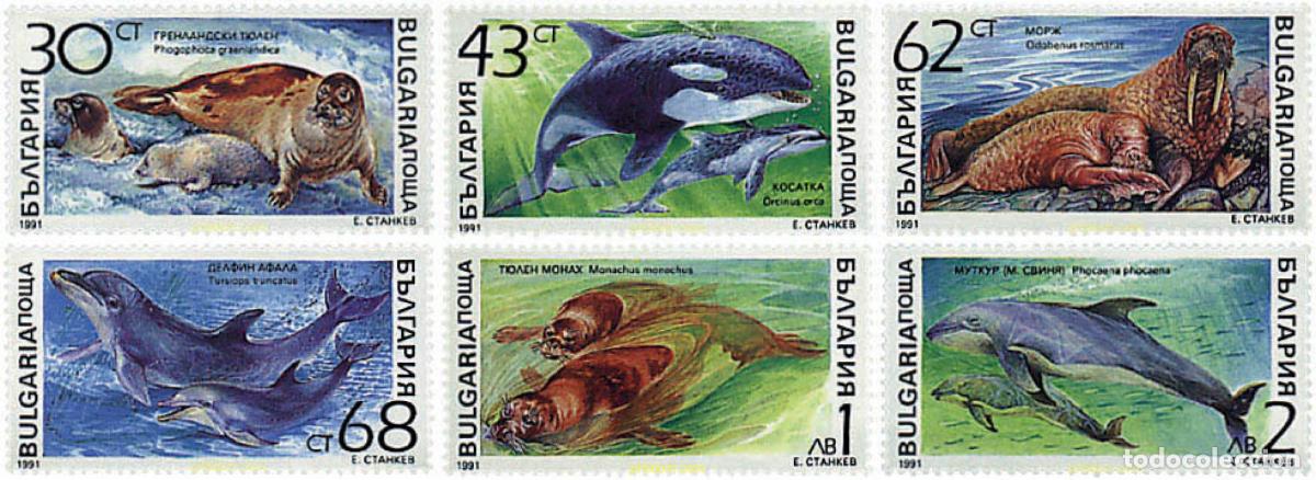 Sellos: 82629 MNH BULGARIA 1991 MAMIFEROS MARINOS