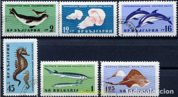 Sellos: 209125 USED BULGARIA 1961 FAUNA DEL MAR NEGRO
