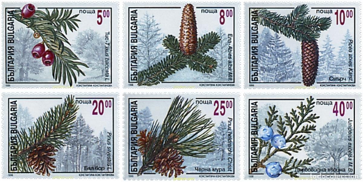 Sellos: 83718 MNH BULGARIA 1996 CONIFERAS