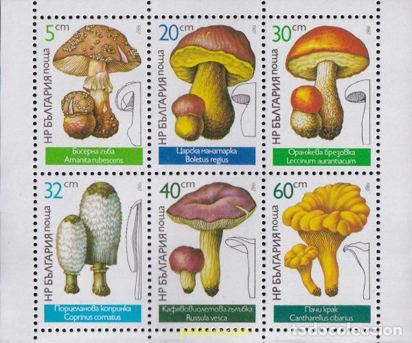 Sellos: 12597 MNH BULGARIA 1987 SETAS