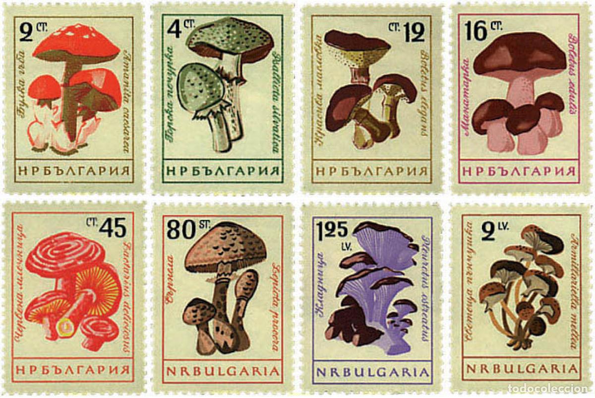 Sellos: 80745 MNH BULGARIA 1961 SETAS