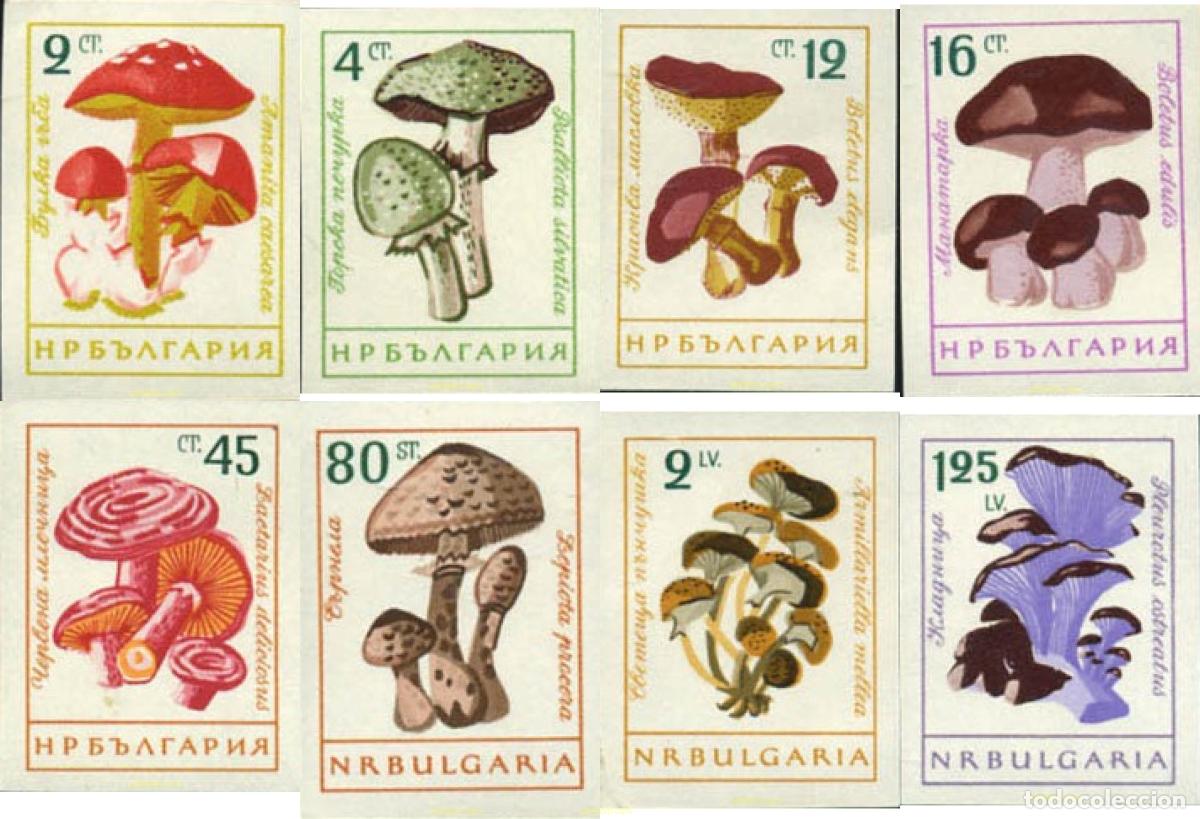 Sellos: 117185 MNH BULGARIA 1961 SETAS