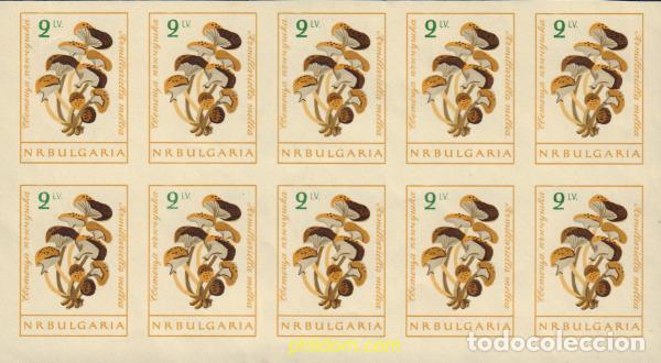 Sellos: 117186 MNH BULGARIA 1961 SETAS