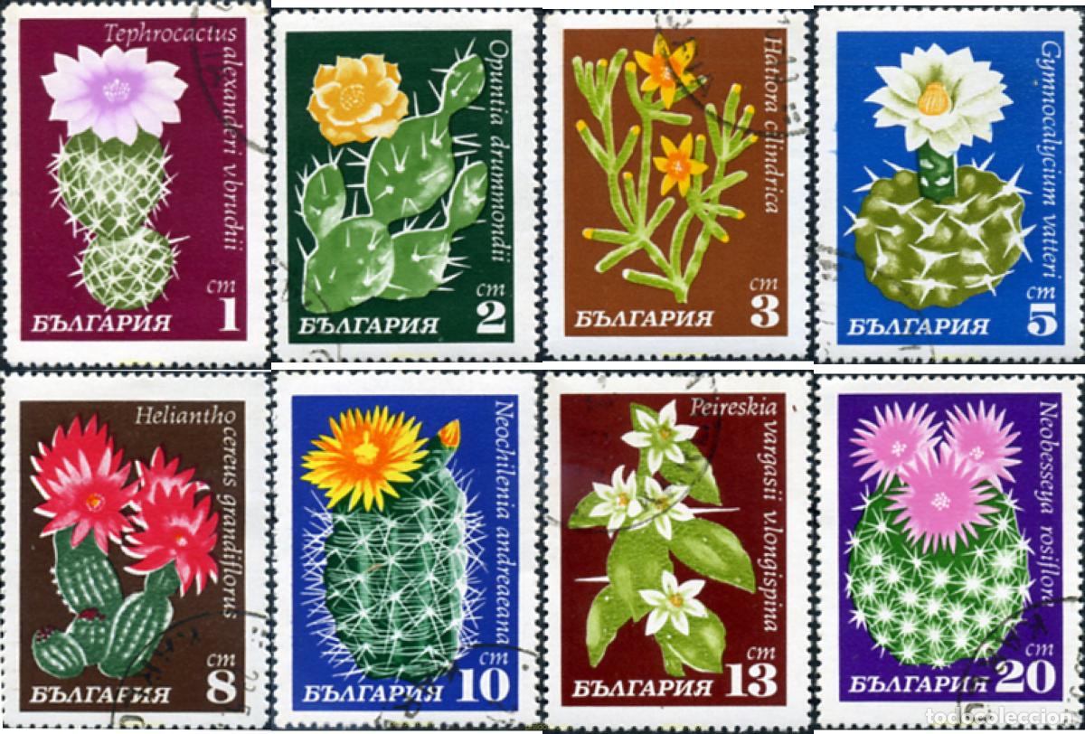 Sellos: 338672 USED BULGARIA 1970 FLORES DE CACTUS