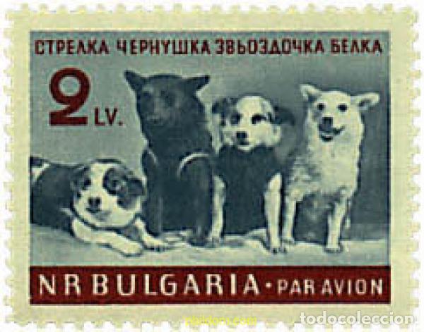 Sellos: 80742 MNH BULGARIA 1961 PERROS COSMONAUTAS