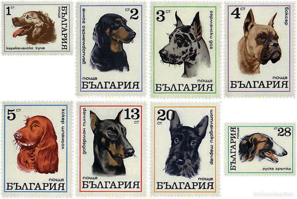 Sellos: 81405 MNH BULGARIA 1970 PERROS DE RAZA