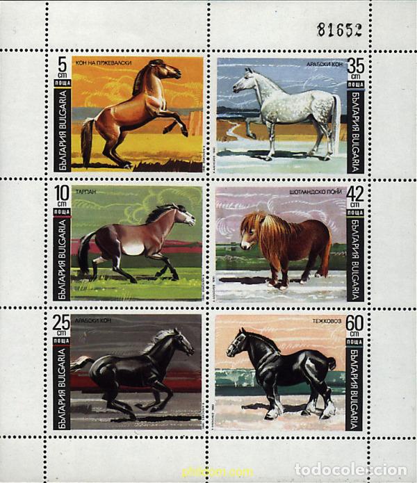 Sellos: 8088 MNH BULGARIA 1991 RAZAS DE CABALLOS.