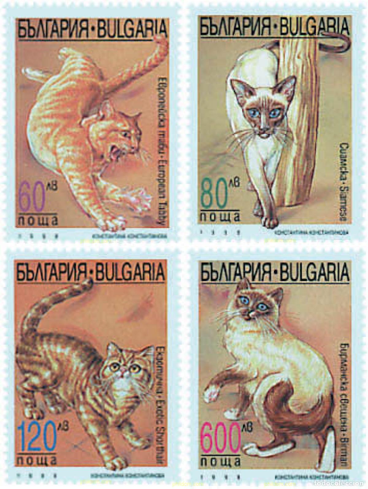 Briefmarken: 82760 MNH BULGARIA 1998 GATOS