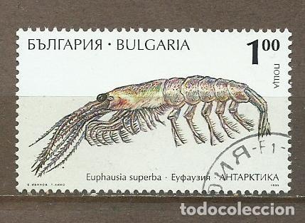 Sellos: SELLO DE BULGARIA - A&Ntilde;O 1995 - 1 - LINDO - BUEN PRECIO - FOTOS