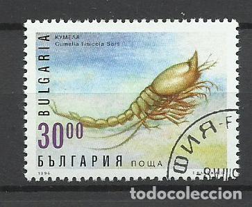 Sellos: SELLO DE BULGARIA - A&Ntilde;O 1996 - 6 - LINDO - BUEN PRECIO - FOTOS