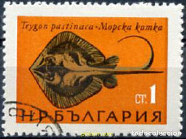 Sellos: 209906 USED BULGARIA 1965 PECES