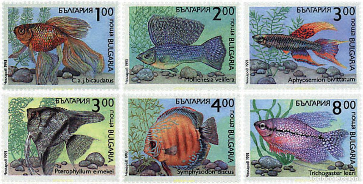 Sellos: 82664 MNH BULGARIA 1993 PECES DE ACUARIO