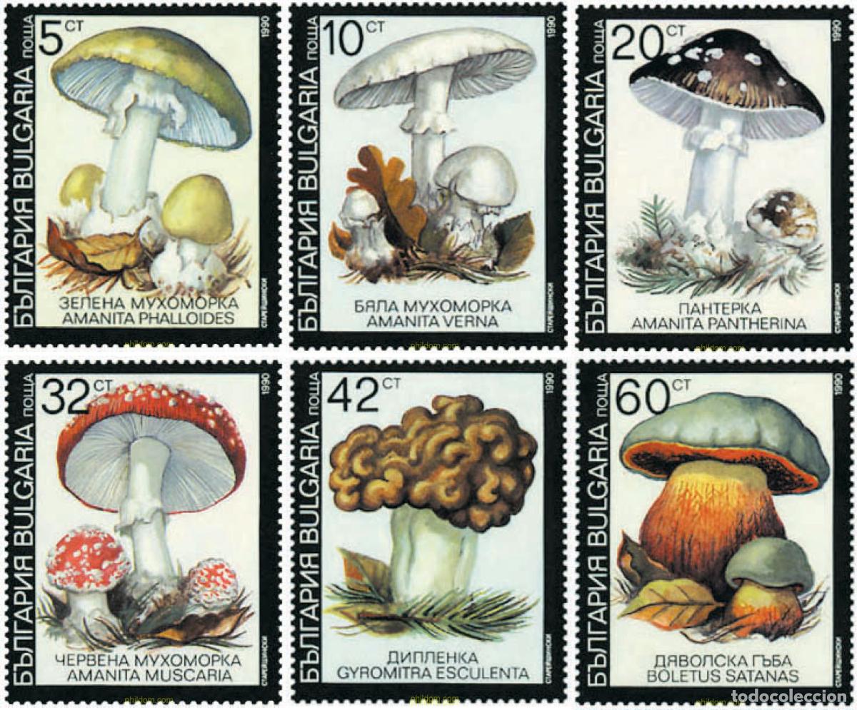 Sellos: 82617 MNH BULGARIA 1991 SETAS