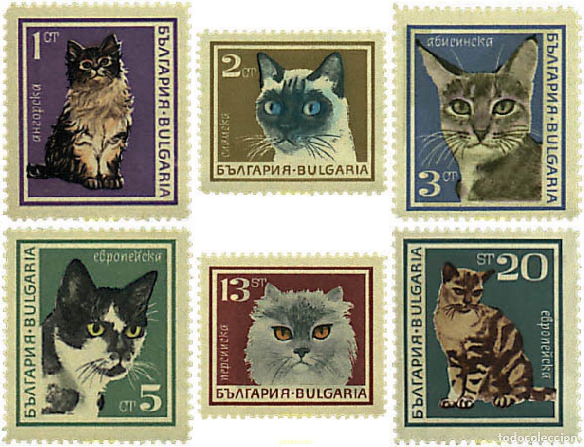 Sellos: 81051 MNH BULGARIA 1967 GATOS DE RAZA