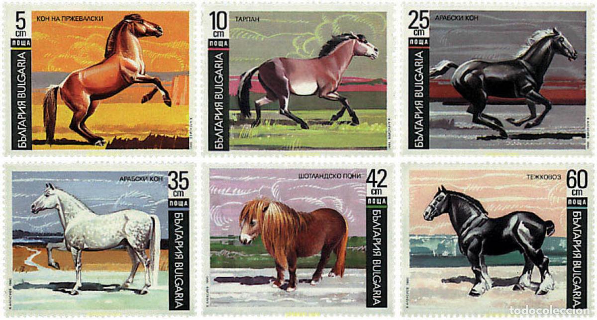 Sellos: 82619 MNH BULGARIA 1991 RAZAS DE CABALLOS.