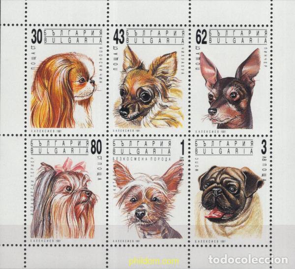 Sellos: 10691 MNH BULGARIA 1991 PERROS DE RAZA