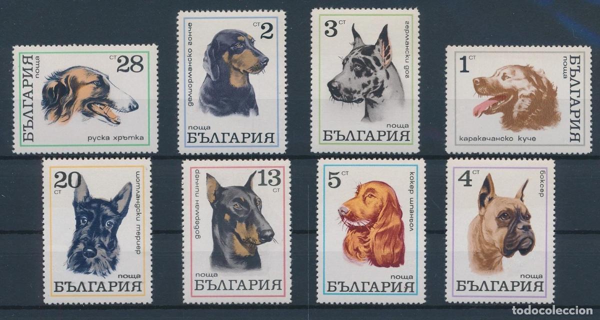 Sellos: Bulgaria 1970 Ivert 1799/806 *** Fauna - Perros de Raza
